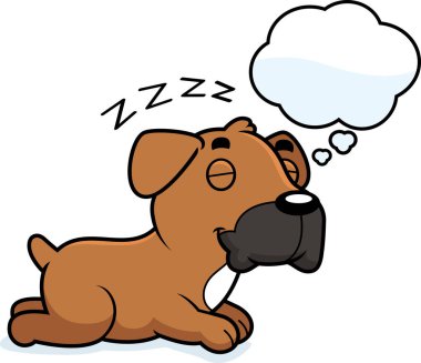 Rüya karikatür boksör