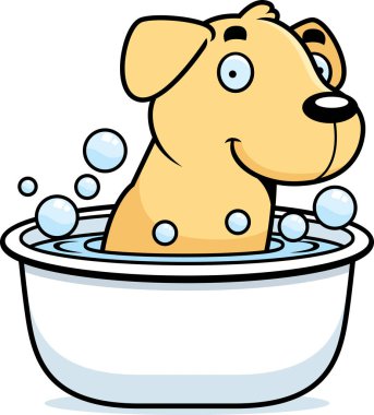 Çizgi film Labrador banyo