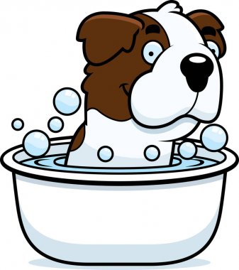 Çizgi film Saint Bernard banyo