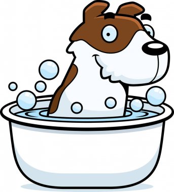 Çizgi film Jack Russell Terrier banyo