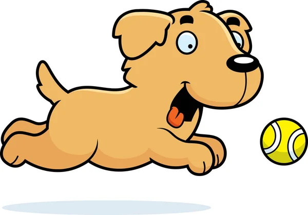 Cartoon Golden Retriever jagt Ball — Stockvektor