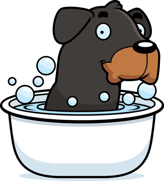 Çizgi film Rottweiler banyo — Stok Vektör