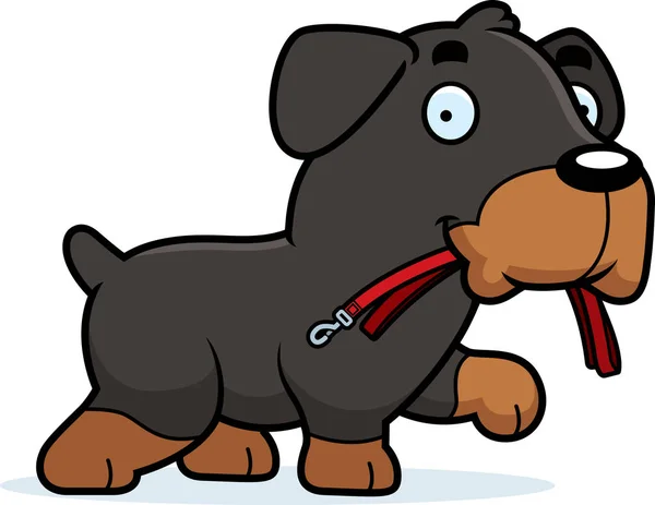 Fumetto Rottweiler al guinzaglio — Vettoriale Stock