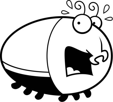 Korkmuş karikatür böceği