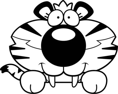 Saber - dişli kaplan bakmak