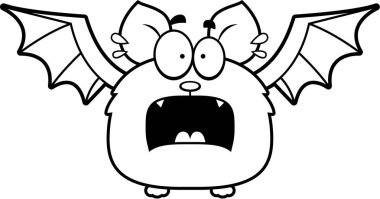 Çok korkmuş küçük yarasa