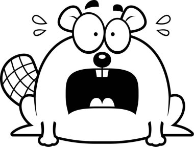 Çok korkmuş küçük kunduz