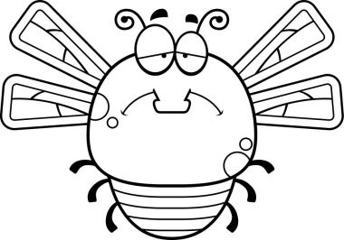 Üzgün küçük yusufçuk