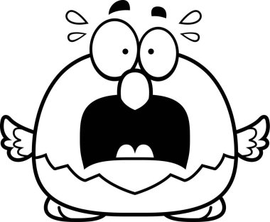 Korkmuş küçük kel kartal