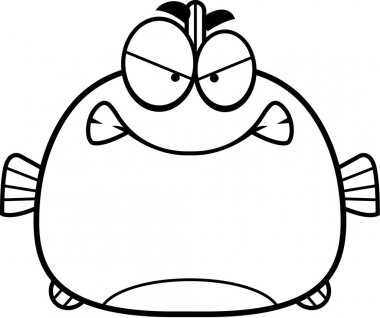 Kızgın küçük balık