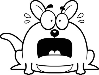 Çok korkmuş küçük kanguru