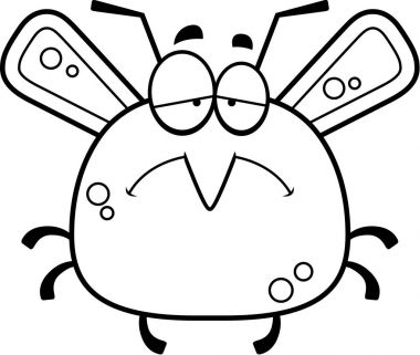 Üzgün küçük sivrisinek