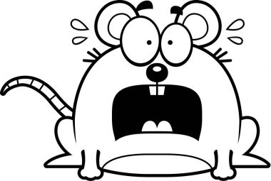 Çok korkmuş küçük fare