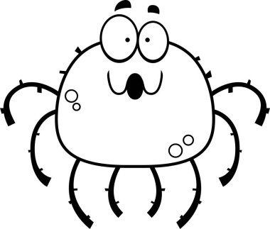 Küçük örümcek şaşırttı