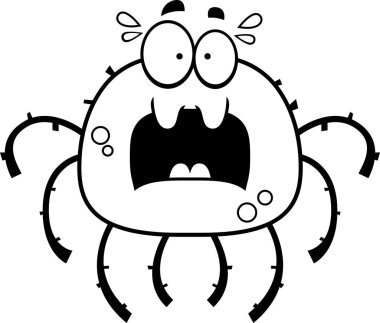 Korkmuş küçük örümcek