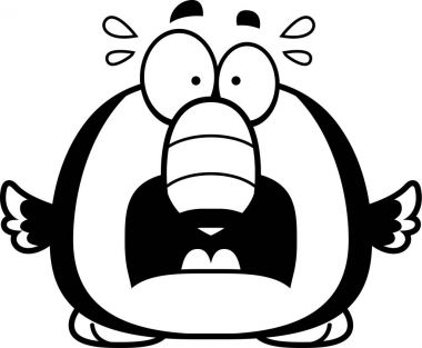 Korkmuş küçük Toucan