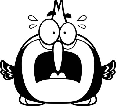 Korkmuş küçük ağaçkakan