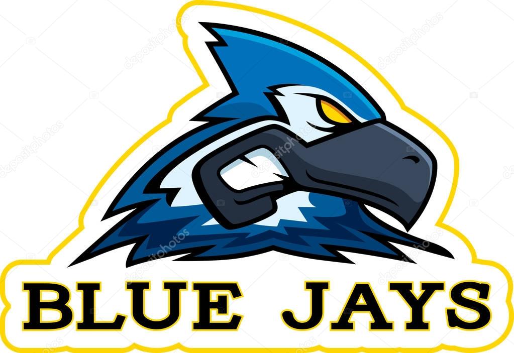 Cartoon Blue Jay Mascot