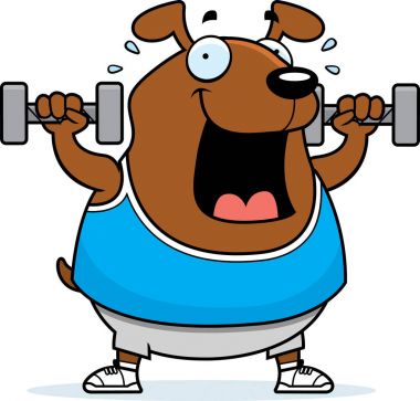 Çizgi film köpek halter