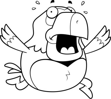 Çizgi film papağan panik