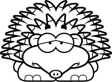 Üzgün küçük kirpi