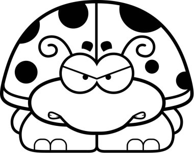 Kızgın böceğin nasıl ezildiğini