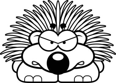 Kızgın küçük kirpi