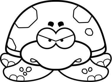 Kızgın küçük deniz kaplumbağası