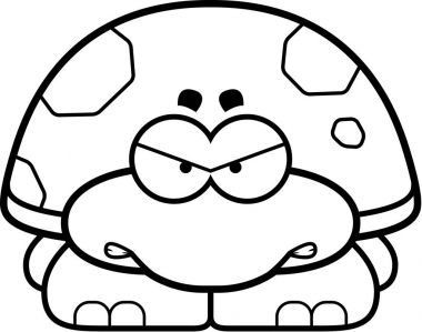 Kızgın küçük kaplumbağa