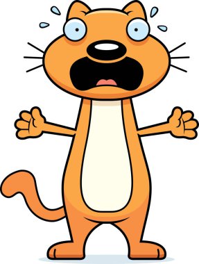 korkmuş karikatür kedi