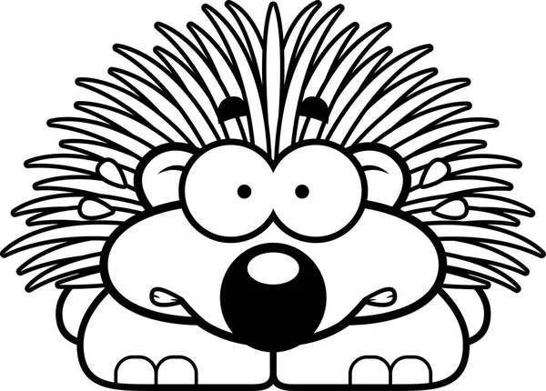 Gergin küçük kirpi