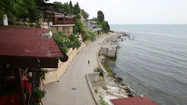 Vue sur la mer et mouettes sur le toit du café sur la promenade — Video