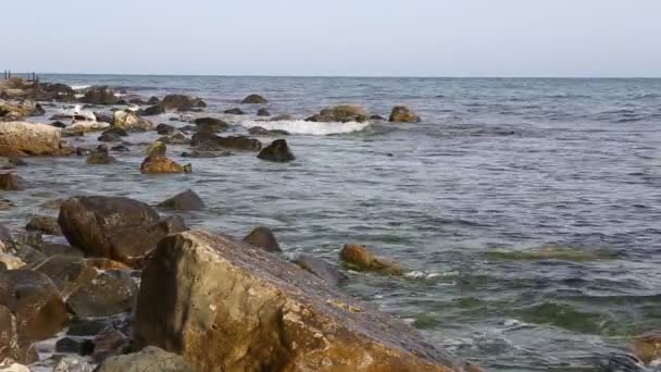 Sea view and seagulls on stones — Stock Video