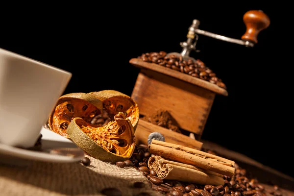 Close-up on dried orange fruit and cinnamon — Stock Photo, Image