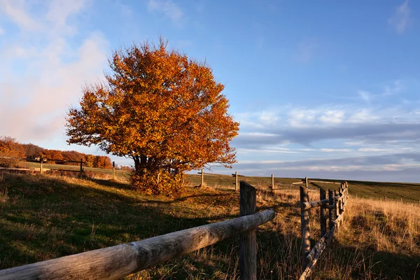 Apus de soare în parcul Monti San Vicino și Canfaito, Italia — Fotografie, imagine de stoc