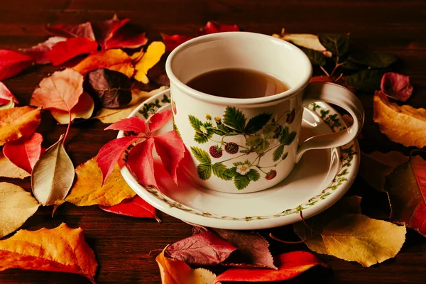 Tasse Tee und herbstliches Laub — Stockfoto