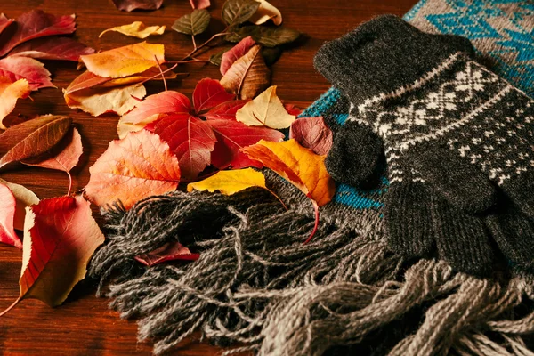 Перчатки, шарф и осенняя листва — стоковое фото