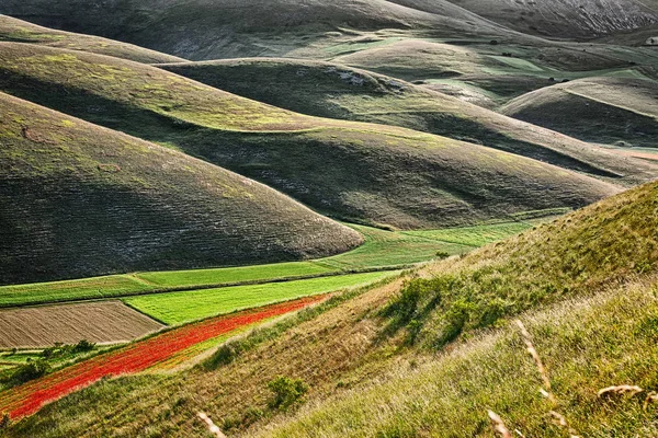 Le colline di Castelluccio — Foto Stock