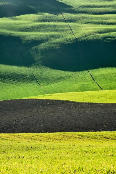 Landsbygdens gräs fält landskap — Stockfoto