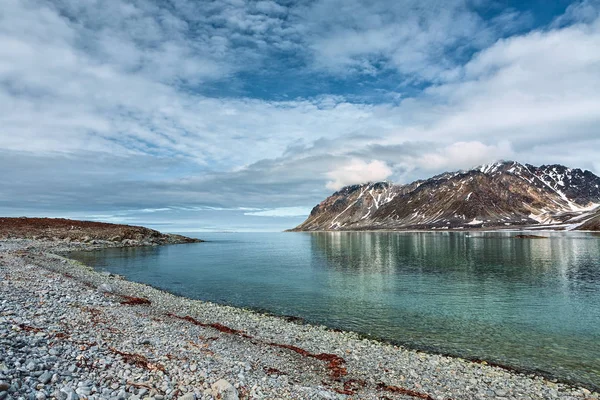 スバールバル諸島、ノルウェーの Magdalenafjord  — 無料ストックフォト