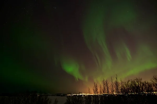 Northern Lights Reykjavik Lights Heidmork Iceland — Stock Photo, Image