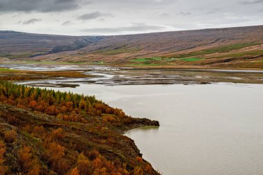 İzlanda 'nın doğu yakasındaki Lagarfljot nehrinin panoramik manzarası