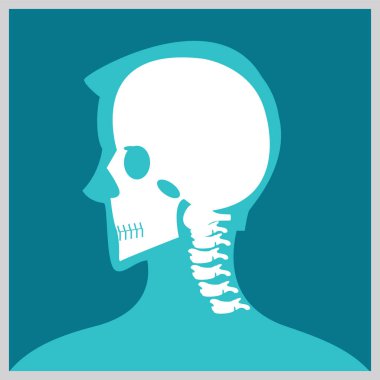Xray of  head and neck. clipart