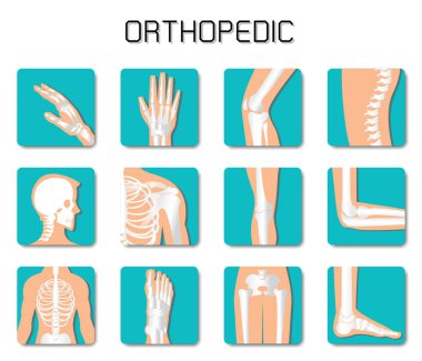 Orthopedic and spine icon set on white background.