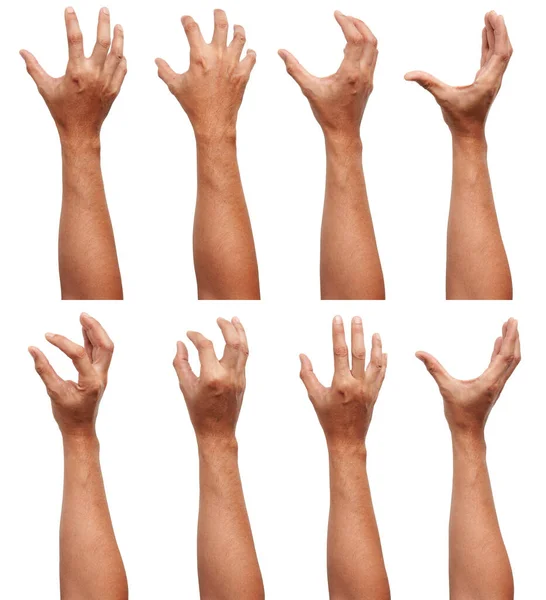 Group Male Asian Hand Gestures Isolated White Background Grab Five Stock  Photo by ©aekkorn@yahoo.com 377267484