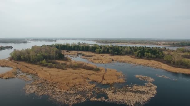 Colpo aereo di piccoli isolotti sul fiume Dnipro con costa e afflussi di cuvry — Video Stock