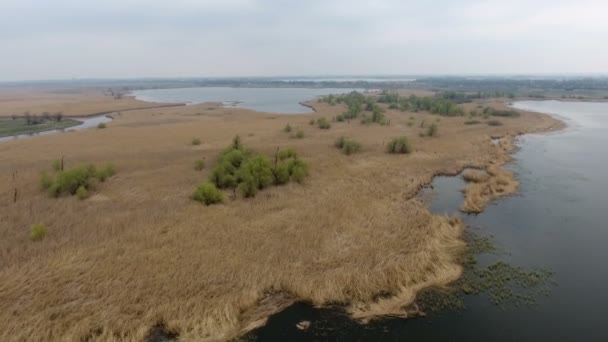 Luchtfoto van een bochtige rivier haak met ruige kustlijn en stro op zoek gras — Stockvideo