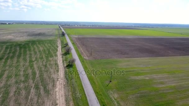 Zdjęcia lotnicze z autostrady i drogi ciągnące się wzdłuż niektórych malowniczych pól — Wideo stockowe