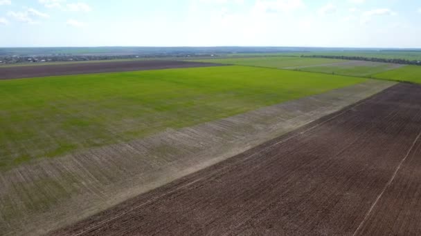 Tiro aéreo de campos agrícolas multicoloridos na Ucrânia em um dia ensolarado — Vídeo de Stock