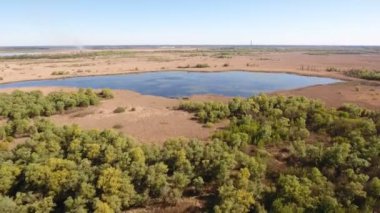 Dnipro havzasında hava atış küçük bir göl, yabani otlar, yosunlar ve greenary